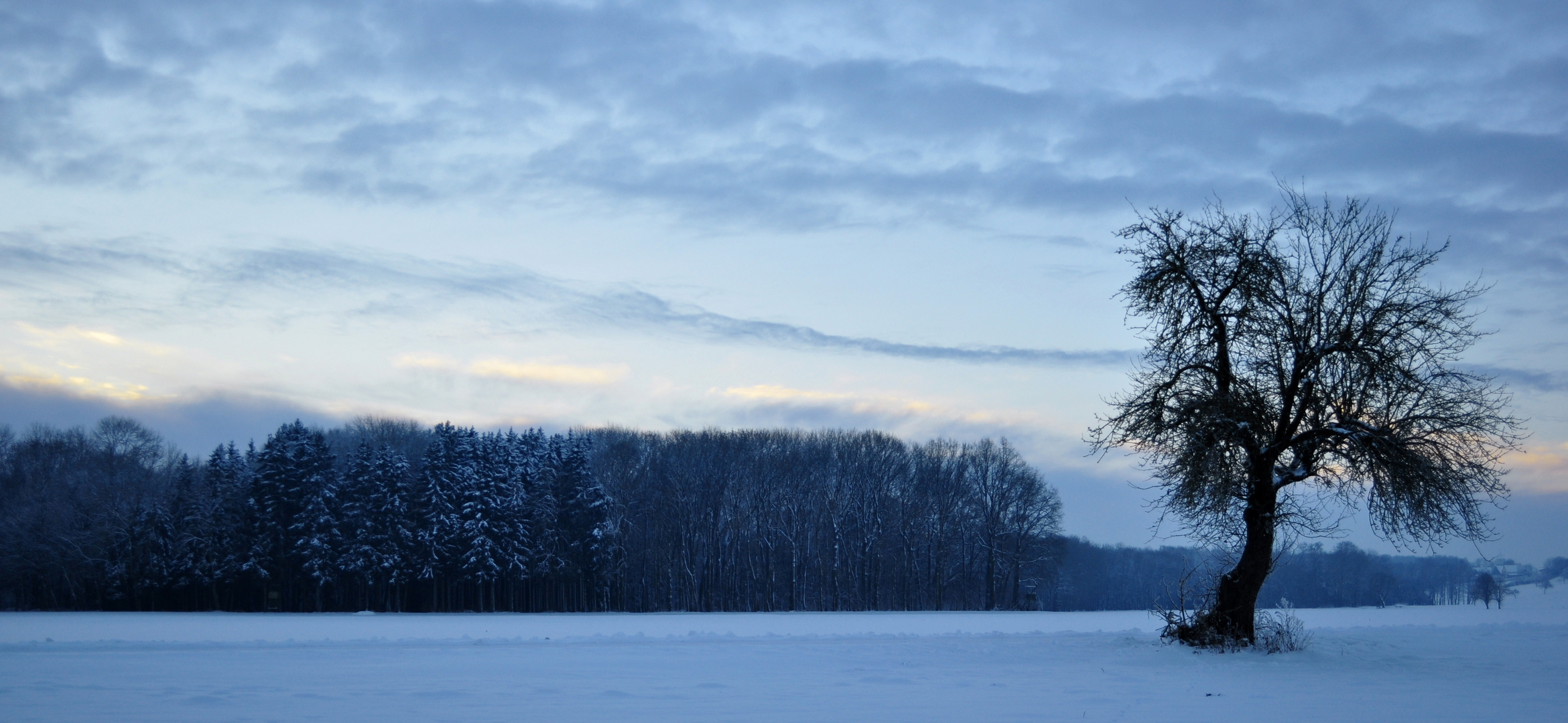 weihnachts...baum