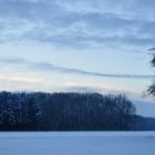 weihnachts...baum