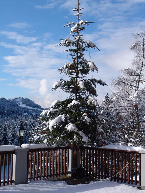 weihnachtsbaum