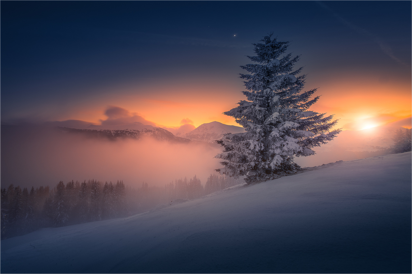 Weihnachtsbaum Foto & Bild jahreszeiten, winter, landschaft Bilder
