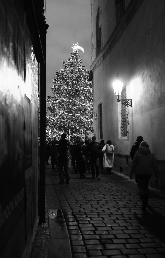 Weihnachtsbaum.