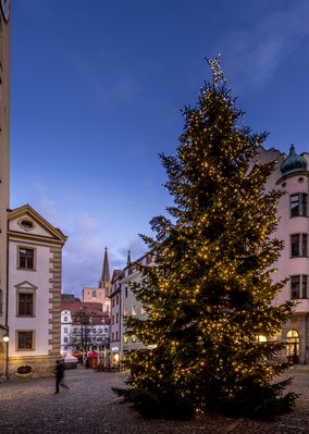 Weihnachtsbaum beim alten Rathaus in Regensburg