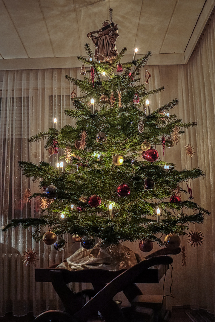 Weihnachtsbaum