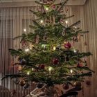 Weihnachtsbaum