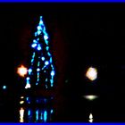 Weihnachtsbaum der Gemeinde Puchenau