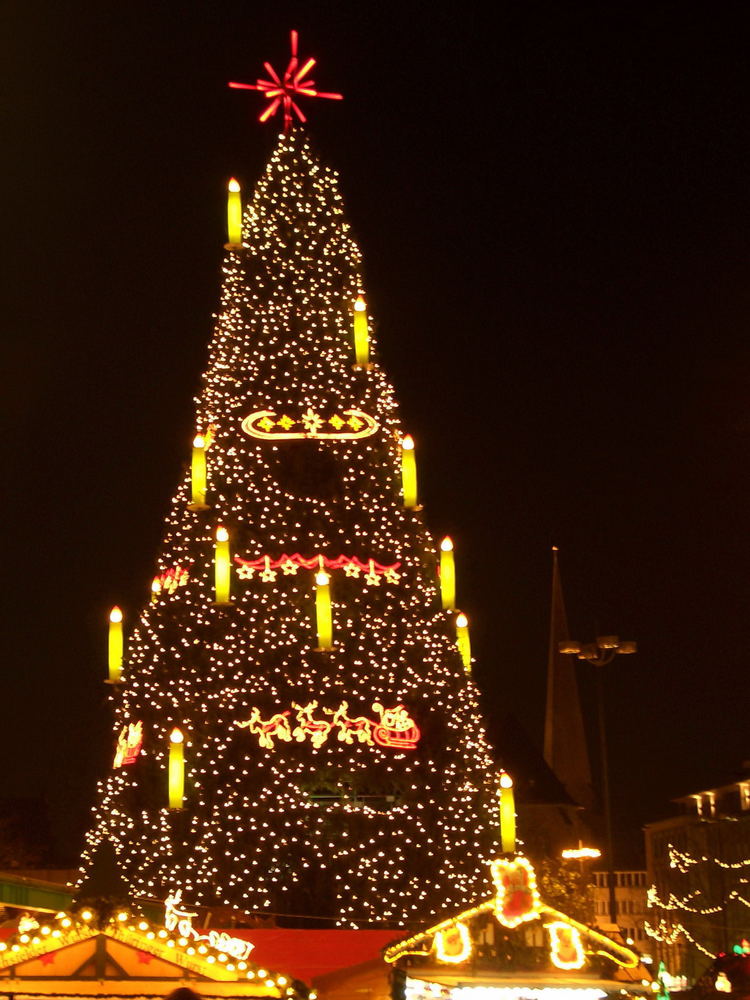Weihnachtsbaum Dortmund
