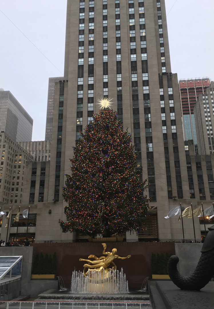 Weihnachtsbaum