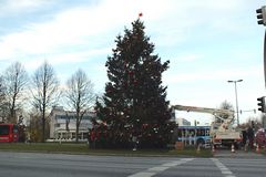 Weihnachtsbaum