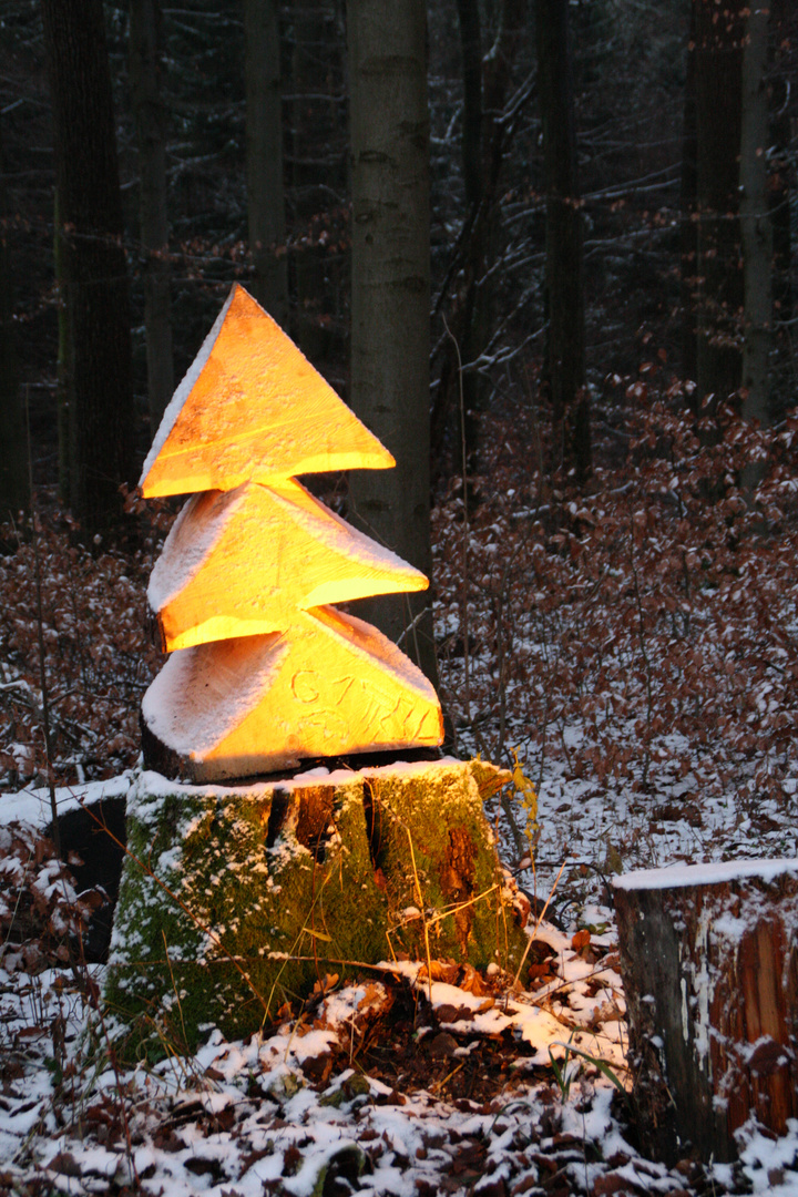 Weihnachtsbaum