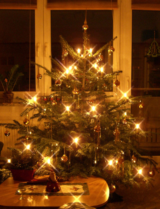 Weihnachtsbaum