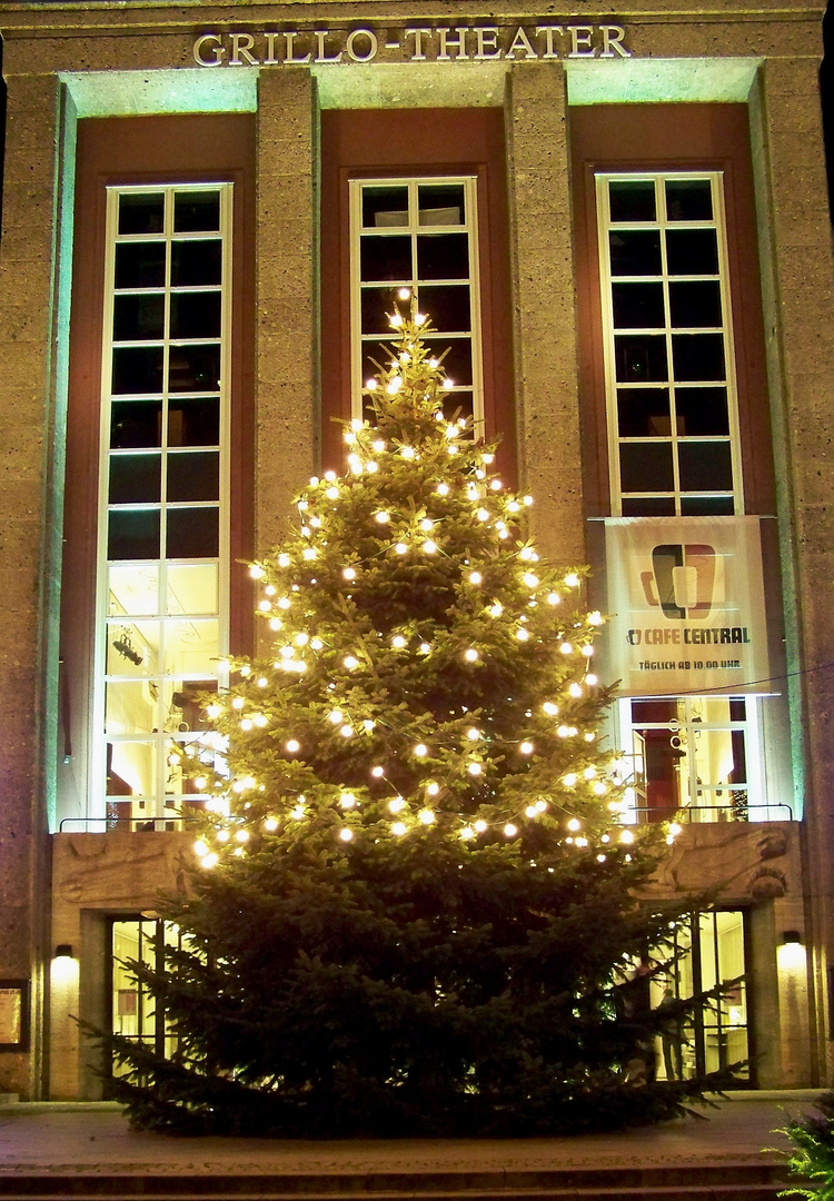 Weihnachtsbaum