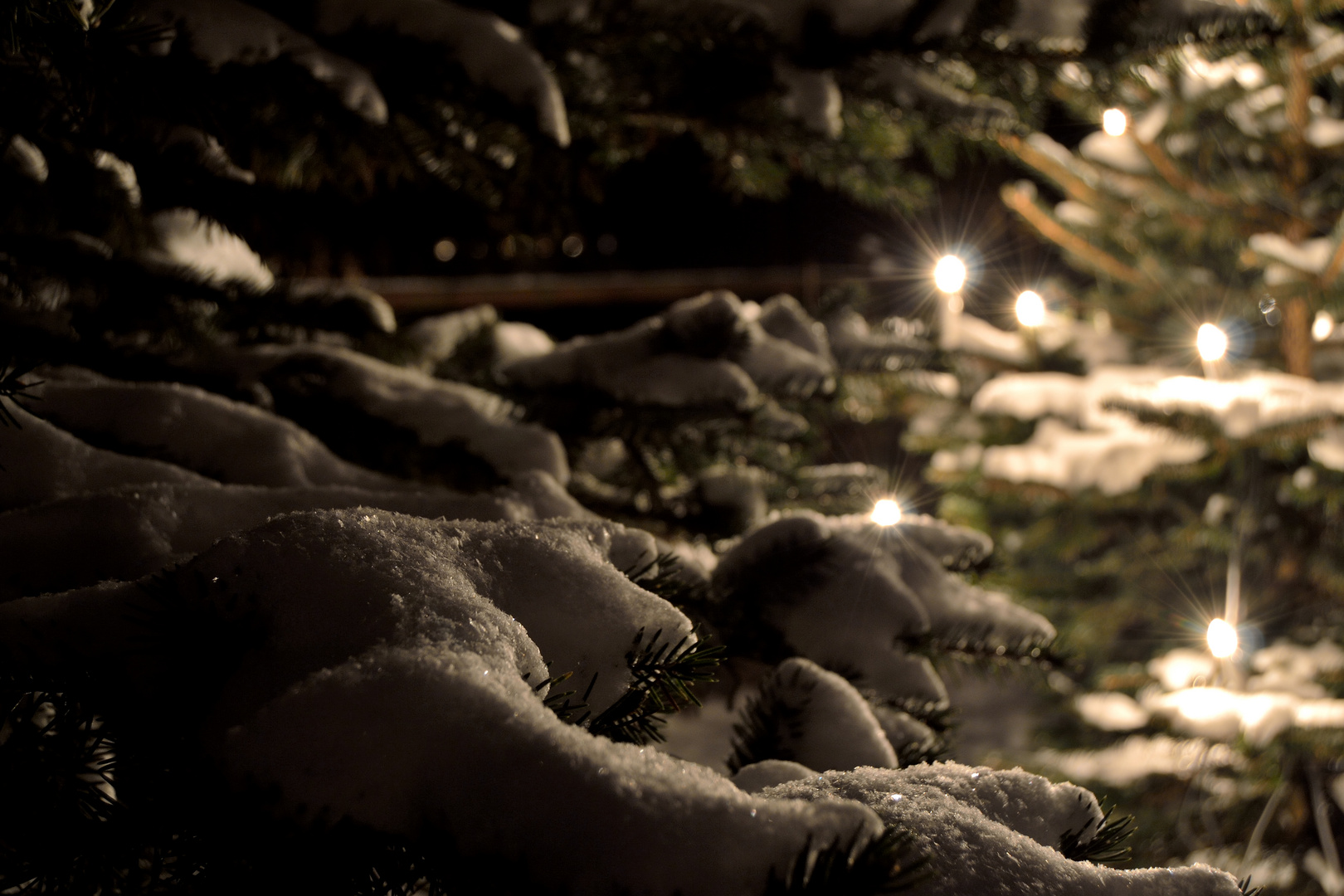 Weihnachtsbaum