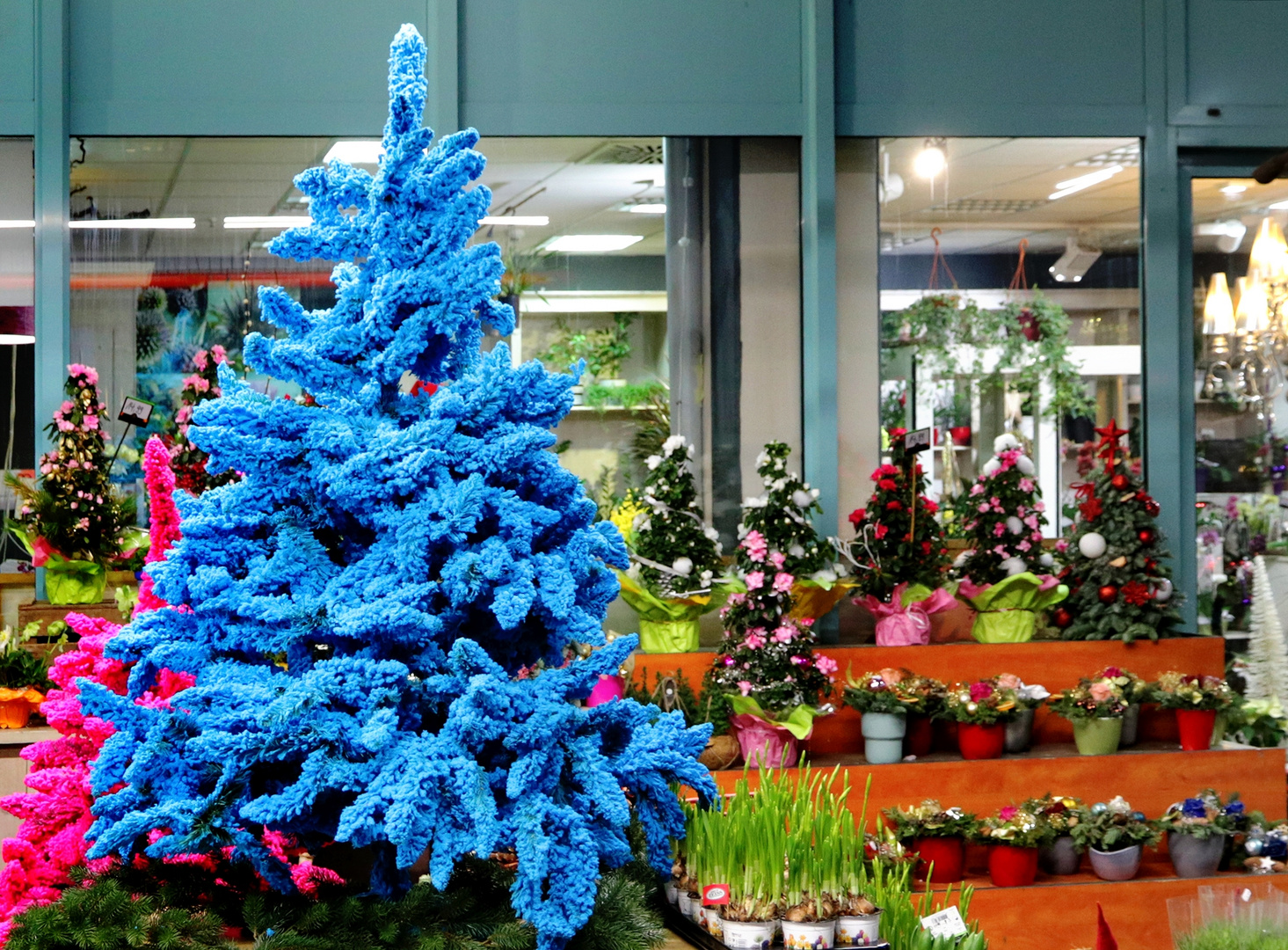 weihnachtsbaum, grün