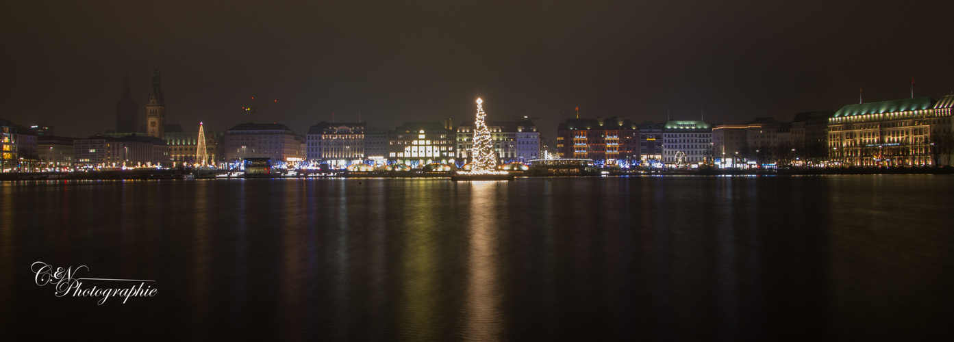 Weihnachtsbaum grüßt Binnenalster