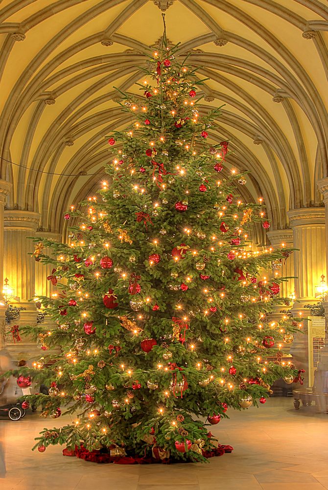 Weihnachtsbaum im Hamburger Rathaus