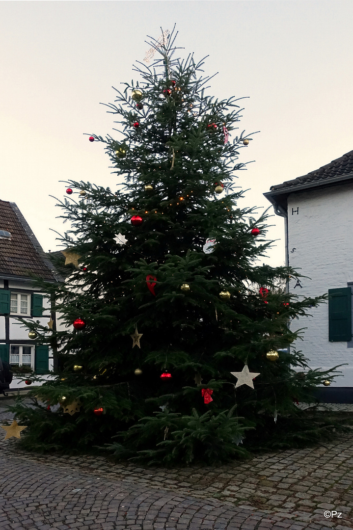 Weihnachtsbaum im historischen Ortskern von Liedberg ...