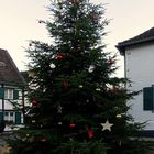 Weihnachtsbaum im historischen Ortskern von Liedberg ...