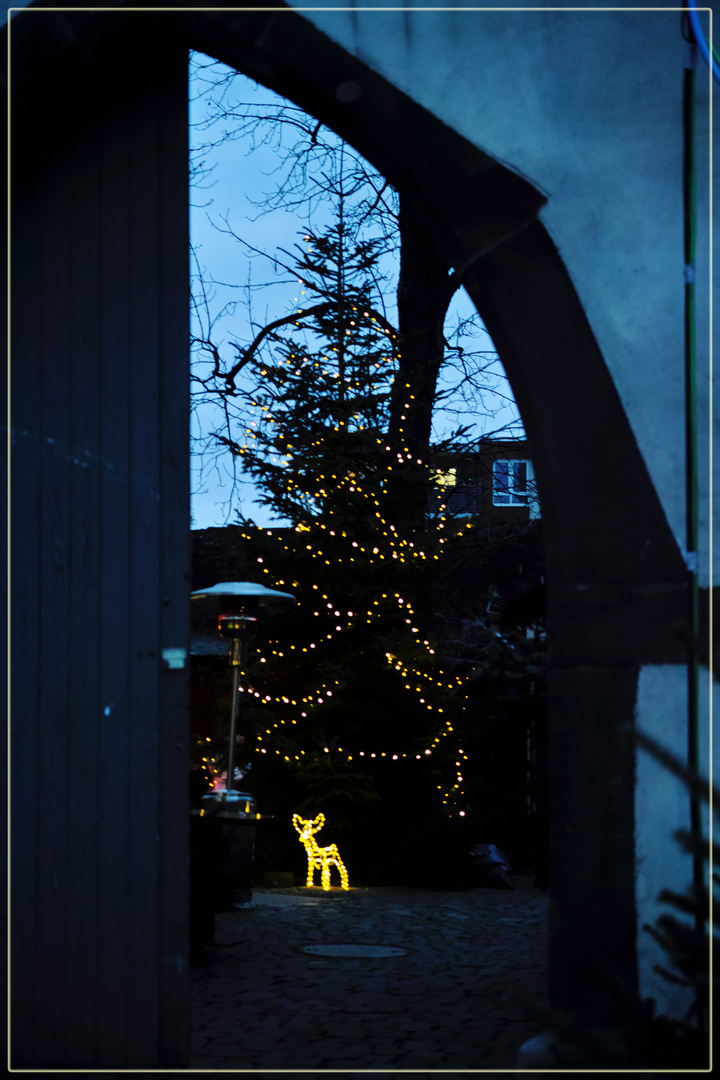 Weihnachtsbaum im Hof