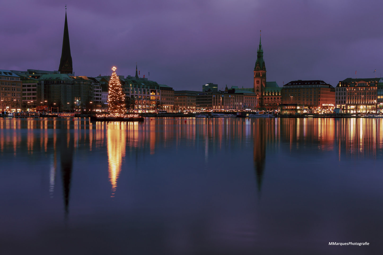 Weihnachtsbaum im Januar