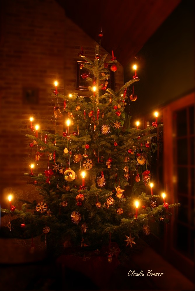 Weihnachtsbaum im Kerzenschein