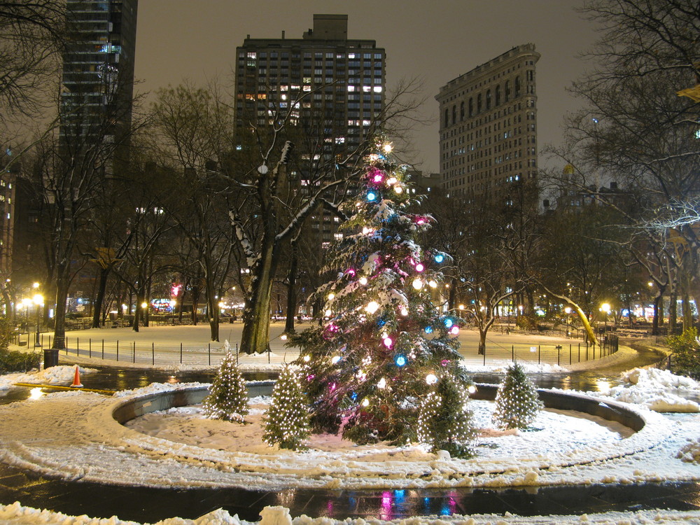 Weihnachtsbaum im Madison Square Park... (2008)
