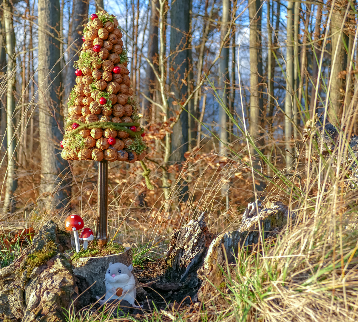 Weihnachtsbaum im Märchenwald :-)