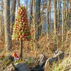 Weihnachtsbaum im Märchenwald