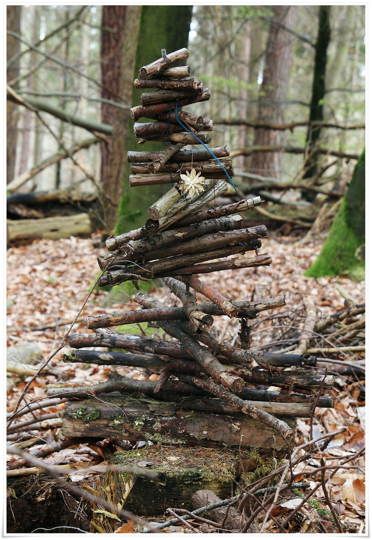 Weihnachtsbaum im März