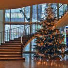 Weihnachtsbaum im Rathaus