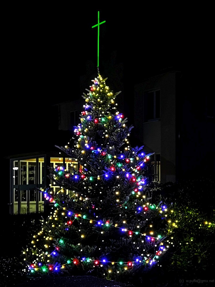 Weihnachtsbaum im Vorgarten