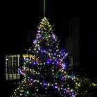 Weihnachtsbaum im Vorgarten