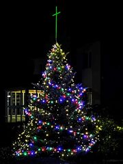 Weihnachtsbaum im Vorgarten