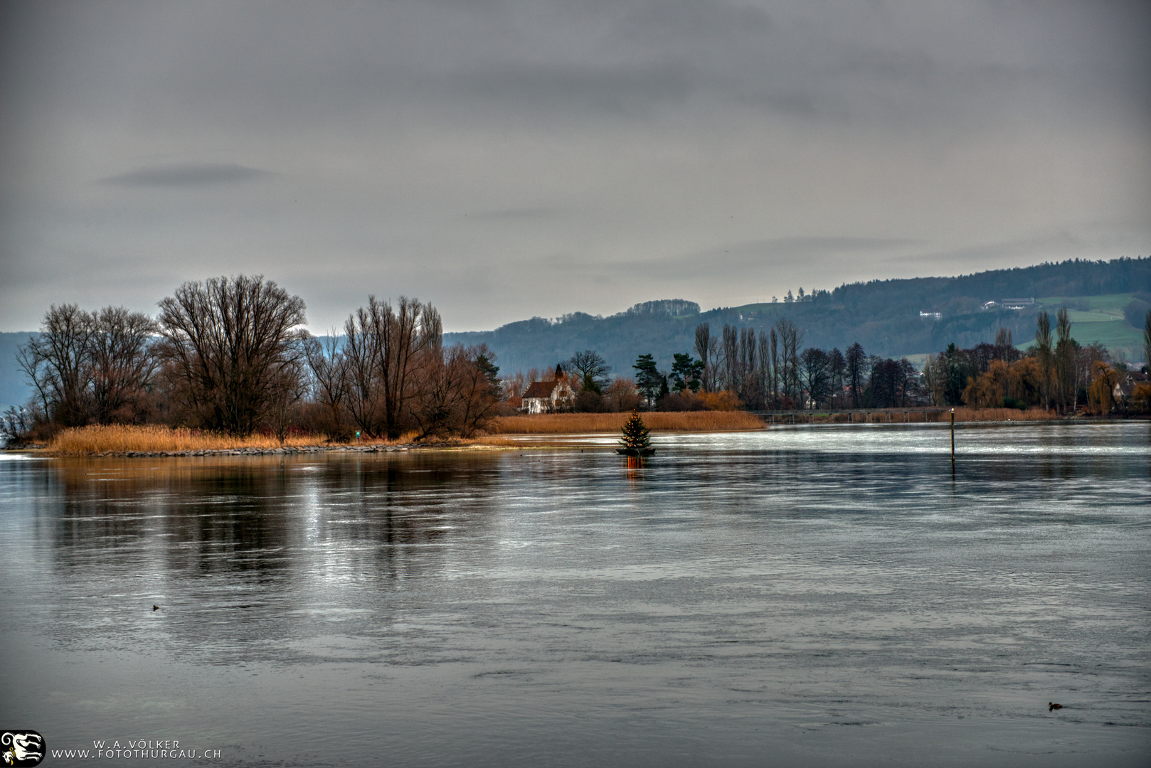 Weihnachtsbaum im Wasser