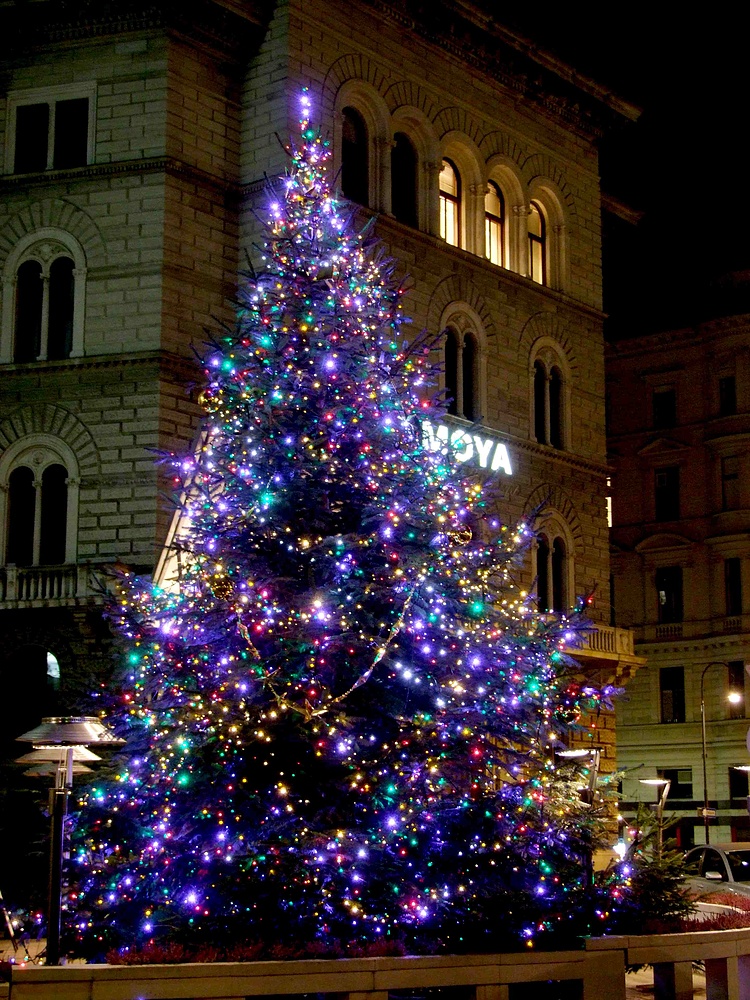 Weihnachtsbaum in Blau