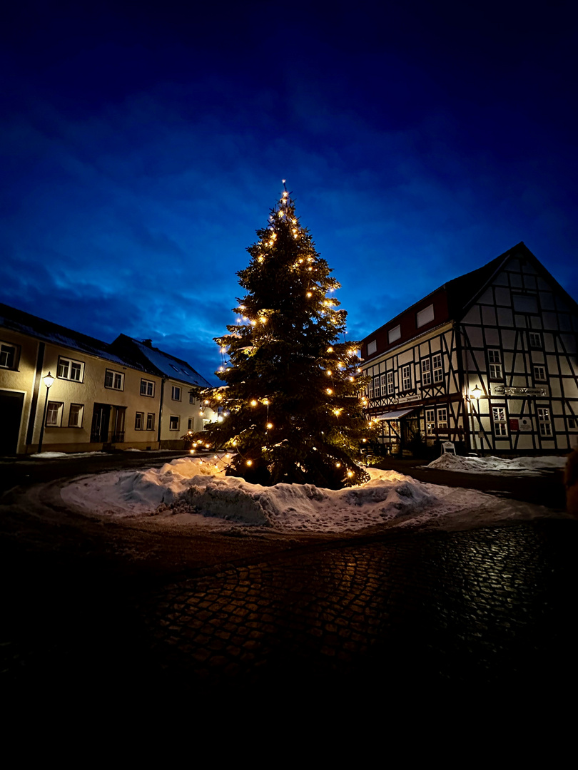 Weihnachtsbaum in Dankerode 