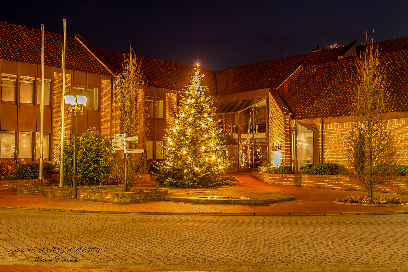 Weihnachtsbaum in der Nacht