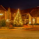 Weihnachtsbaum in der Nacht