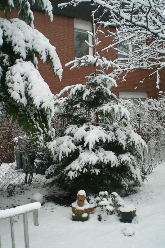 Weihnachtsbaum in der Natur mit Schnee