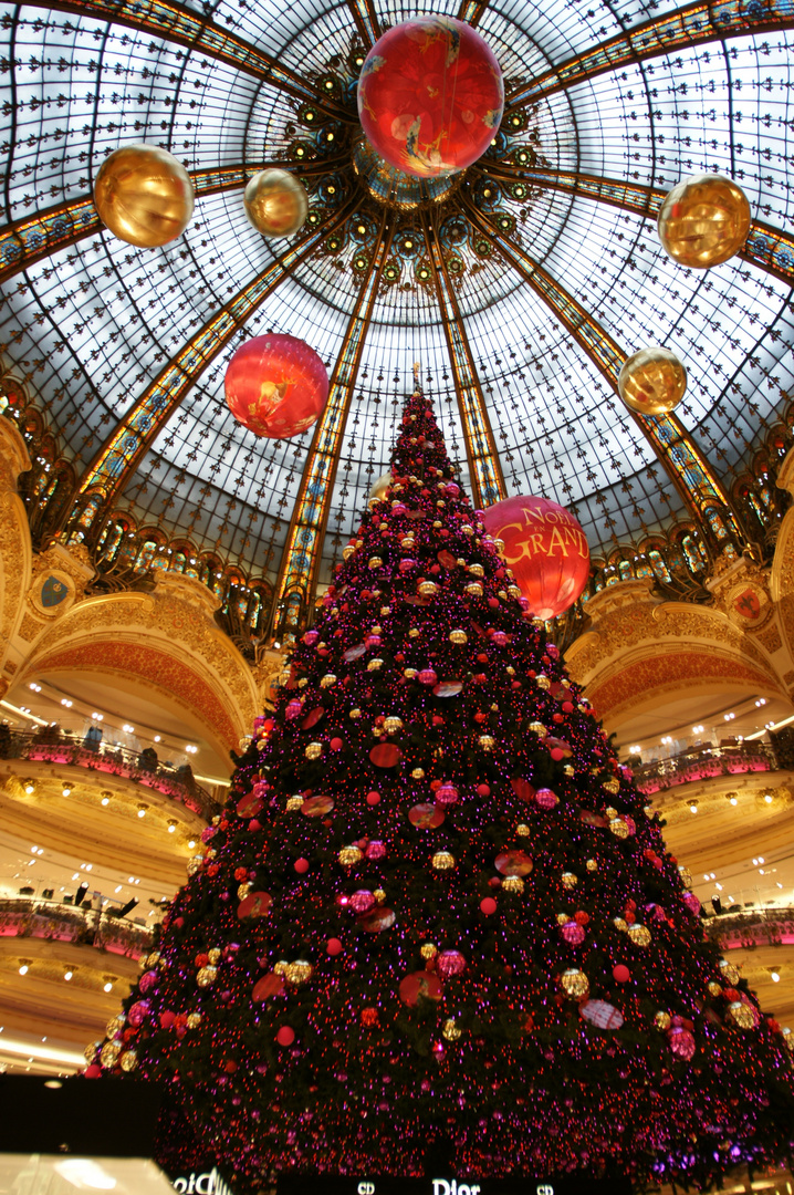 Weihnachtsbaum in Paris