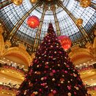 Weihnachtsbaum in Paris