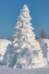 Weihnachtsbaum mal anders