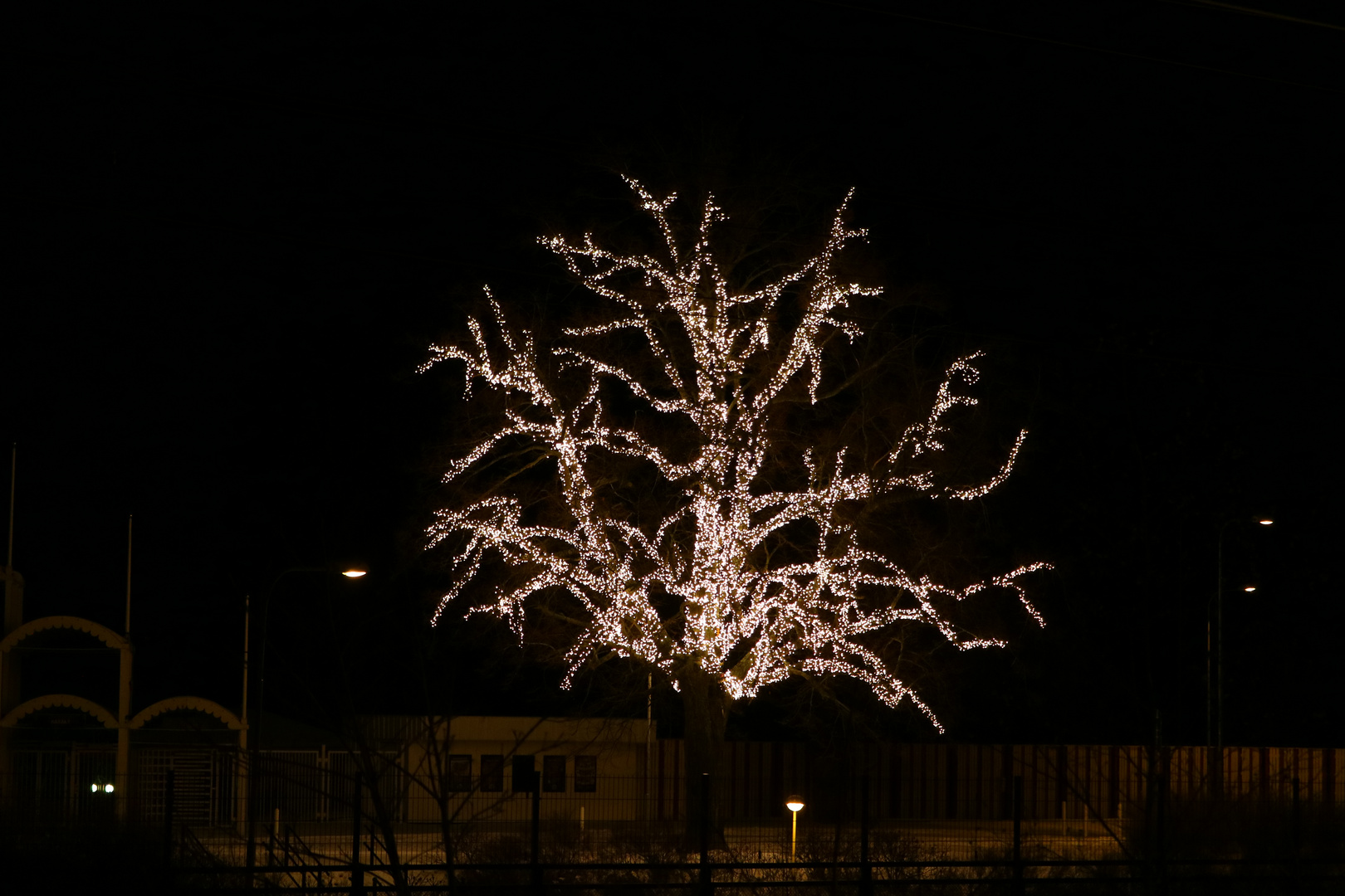 Weihnachtsbaum mal anders , schwedisch eben .