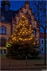 Weihnachtsbaum mit Rathaus