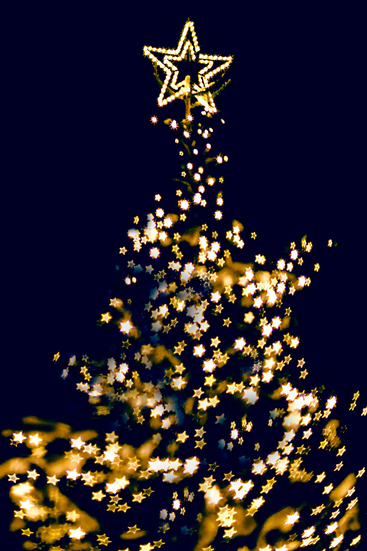 Weihnachtsbaum mit Sternen Foto & Bild abstraktes, formen