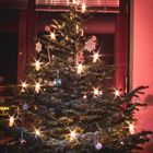 Weihnachtsbaum neu, Objektiv alt