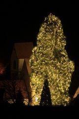 Weihnachtsbaum (professionelle Ausführung) überragt Kirchturm