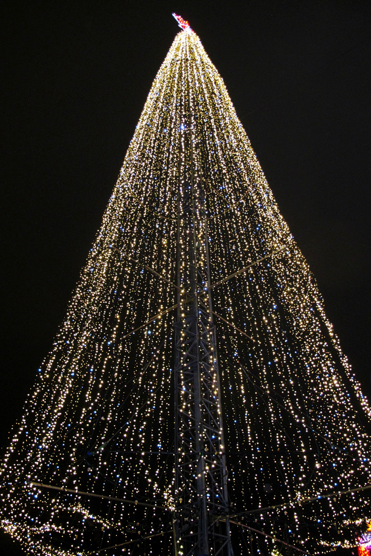 Weihnachtsbaum Rathausmarkt