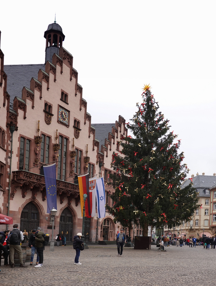 Weihnachtsbaum "Sonny" 2023 - Frankfurt am Main 