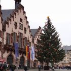 Weihnachtsbaum "Sonny" 2023 - Frankfurt am Main 