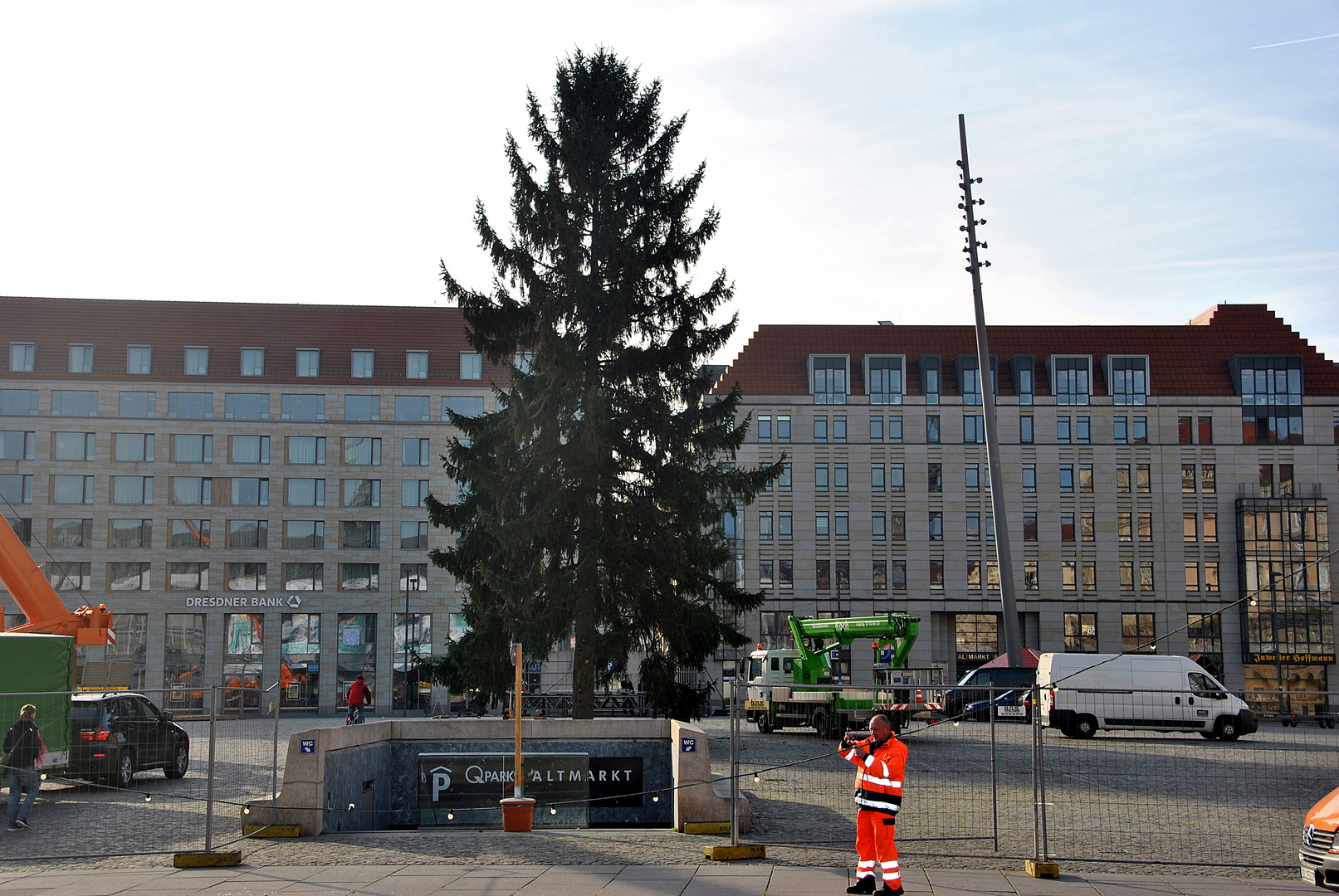 Weihnachtsbaum steht in Dresden, das Fest kann kommen